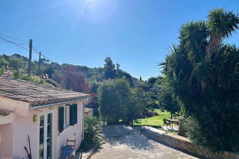 Landejendom i Alaro, Mallorca - foto 4